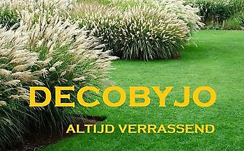 Decobyjo nieuwsbrief october 2019 - Webshop Decobyjo decoratie huis en tuin