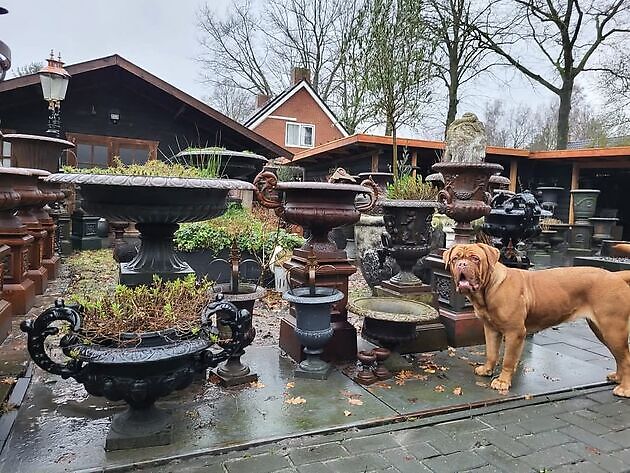 Tweede kerstdag zijn wij geopend voor vrije inloop. Decobyjo - Bellingwolde