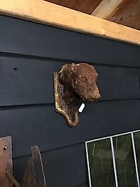 Hond ophanghaak Decobyjo - Bellingwolde