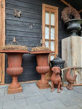 These are real mood makers for any garden! Decobyjo - Bellingwolde