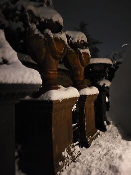 Winter scenes at Decobyjo Decobyjo - Bellingwolde