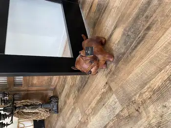 Prachtige leren deurstop hond Decobyjo - Bellingwolde