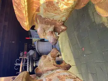 Antiek bewerkte schaalvaas Decobyjo - Bellingwolde